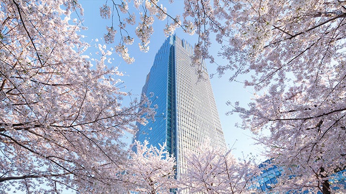 桜ライトアップ（昨年の様子）／画像提供：東京ミッドタウンマネジメント