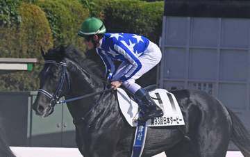 【日本ダービー】リアライズシリウス展開に泣き7着 前日落馬で左足負傷の津村「シンプルに距離でしょうか」悲願ならず