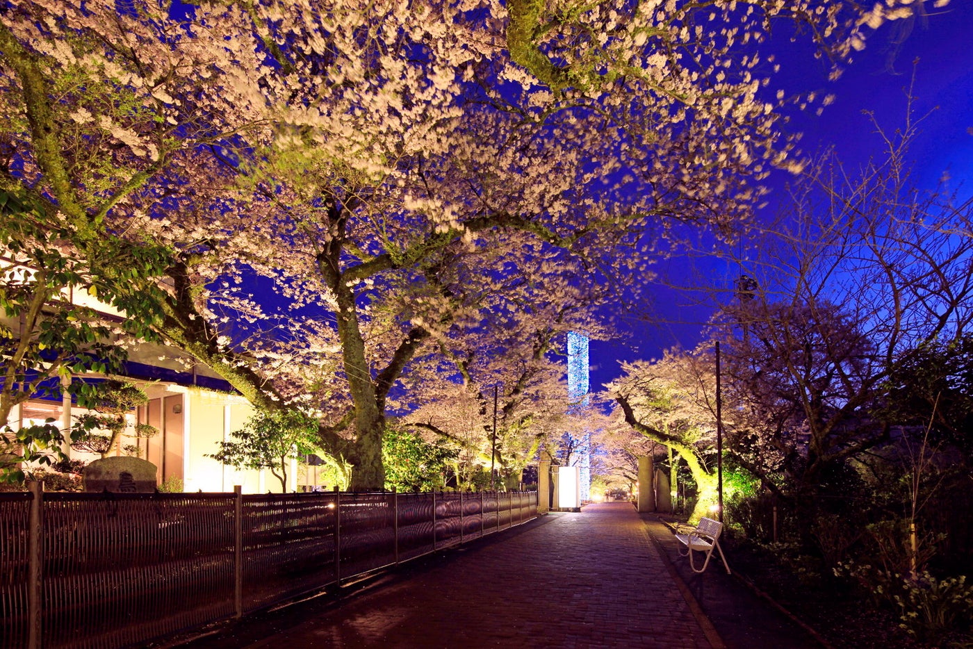 Spring Festival 2026／提供画像