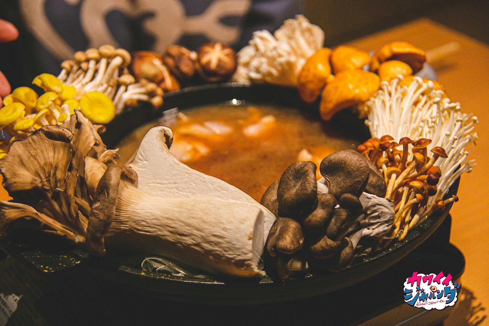 23日放送の「カワイイジャパンダ」（写真提供：MBS）