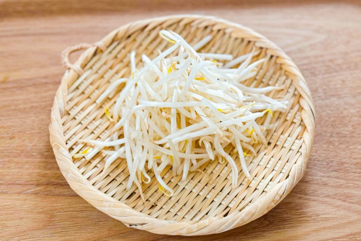 もやし