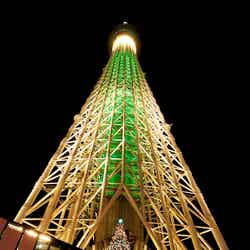 クリスマス限定ライティングとクリスマスツリー（昨年の様子）（C）TOKYO-SKYTREETOWN