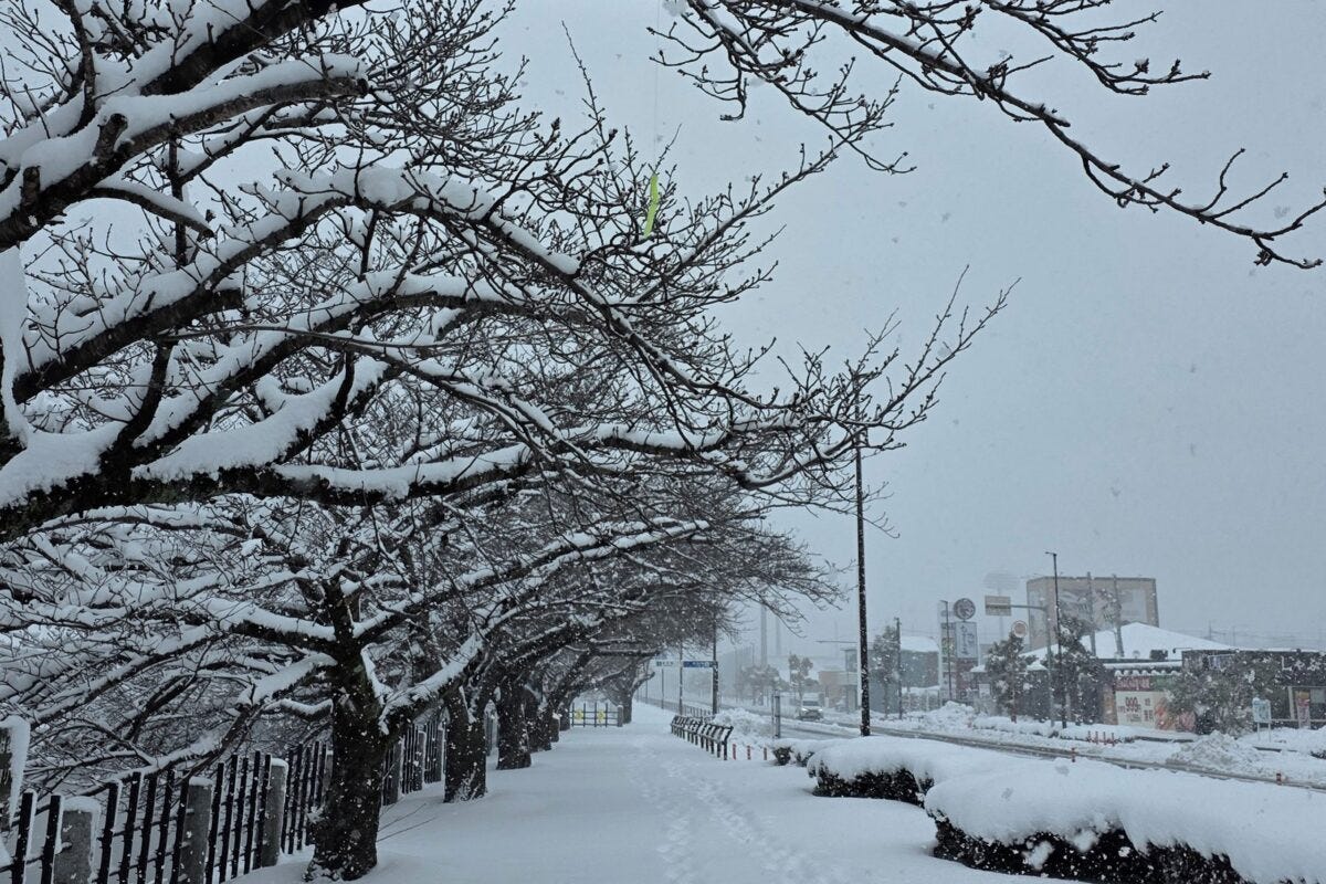 枝に垂れた釣り針