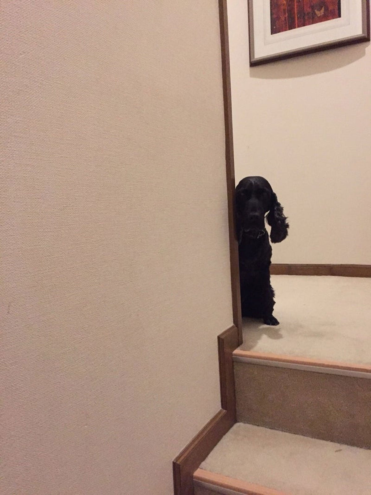 高橋克典オフィシャルブログ（提供写真）