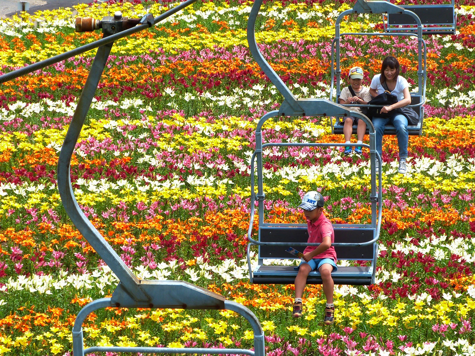 フラワーリフト／画像提供：中部スノーアライアンス