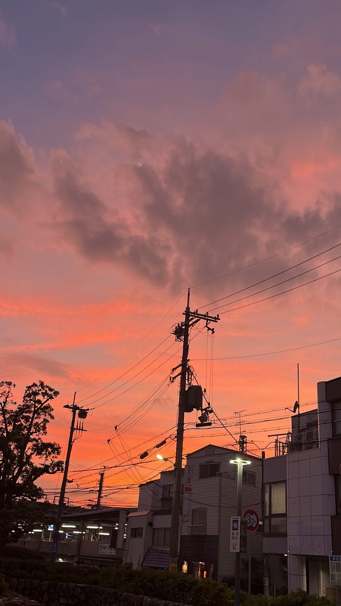 白川聖樹「撮影&関西へ帰省」(提供写真)