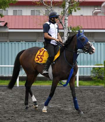 サイバーエージェント藤田晋氏所有の“最強の1勝馬”ボンドガールが現役引退＆繁殖入りへ 2着7回は全て重賞 手塚久師「うちの看板娘。子どももやらせてもらえたら嬉しい」