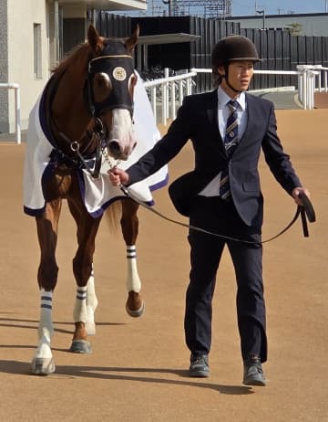 【新馬戦】ホーナー 接戦！首差制す 浜中からは高評価「最後もしぶとくかわされなかった。強いレースだった」