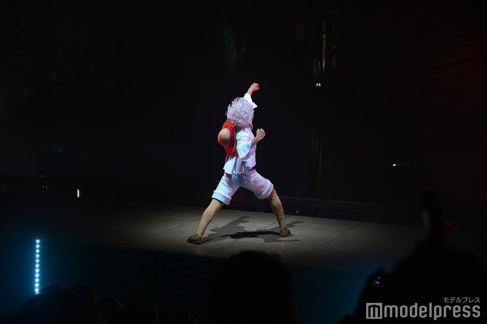 ワンピース・プレミアショー2024（C）モデルプレス