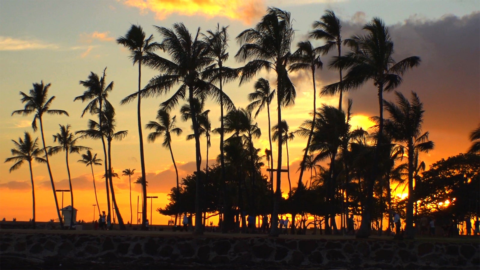 7日放送「セブンルール」より（写真提供：関西テレビ）
