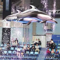 品川プリンスホテル(C)モデルプレス