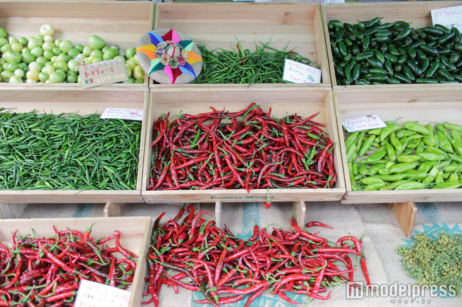 過去会場風景／画像提供：メディアサーフコミュニケーションズ株式会社