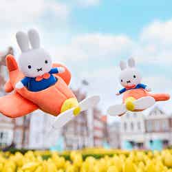 左:ひこうきミッフィーぬいぐるみ 右:ひこうきミッフィーマスコットキーチェーン/提供画像