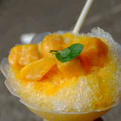 ベトナムフェスティバル/提供画像