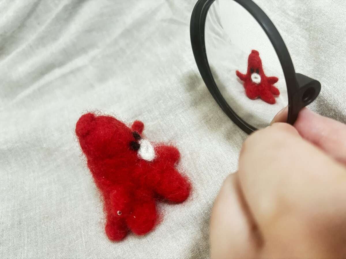 赤いフェルト人形がミラーに映り込んでいる様子を指でミラーを持ちながら撮影 赤いフェルト人形がミラーに映り込んでいる様子を指でミラーを持ちながら撮影