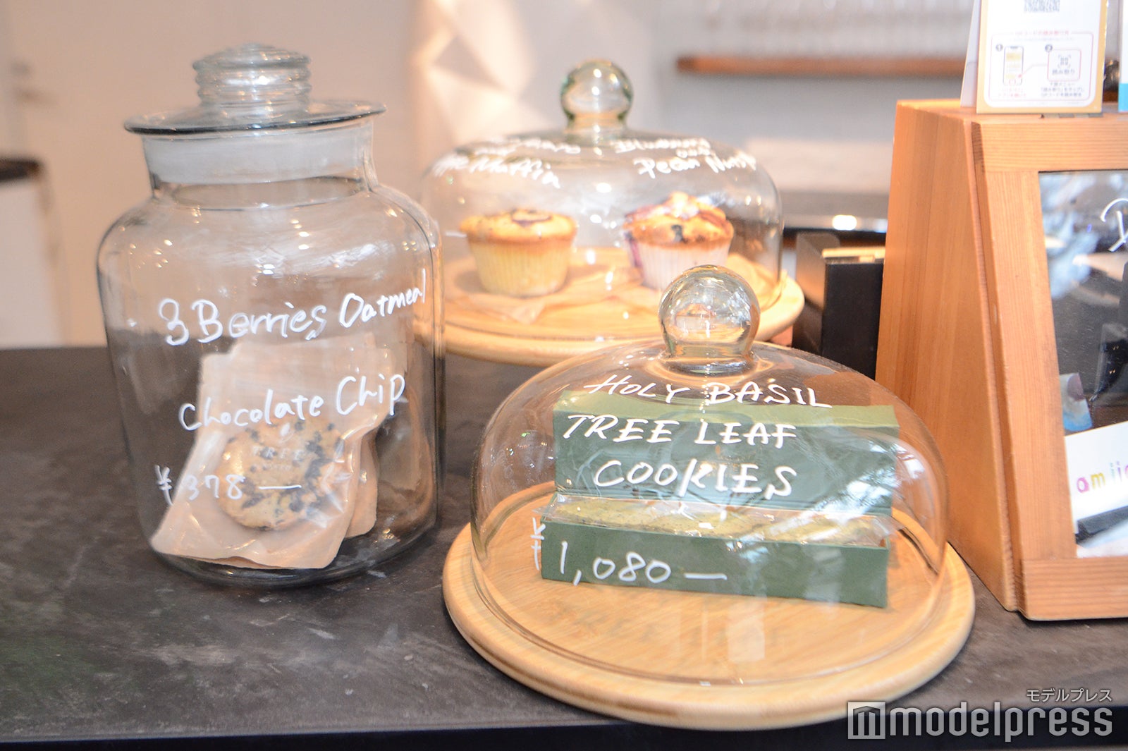 TREE by NAKED yoyogi park（C）モデルプレス