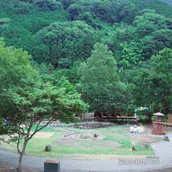 ミューの森(C)モデルプレス