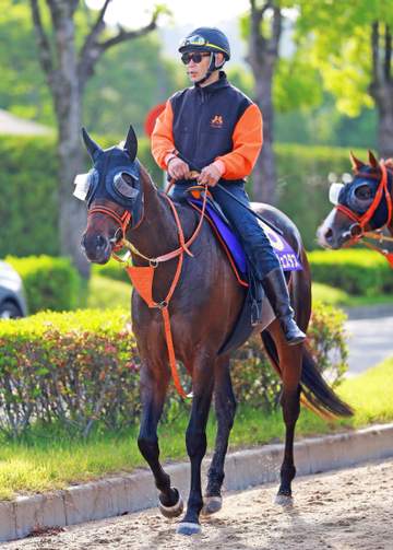 【日本ダービー】コンジェスタス 無敗戴冠へ上昇 高野師「少し減って、ちょうどいい体重で出られる」
