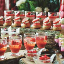 いちごスイーツビュッフェ/画像提供:コンラッド東京