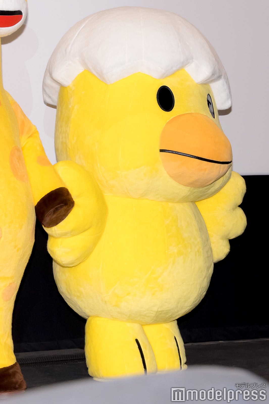 「たべっ子どうぶつ THE MOVIE」初日舞台挨拶（C）モデルプレス