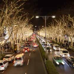 東京のクリスマスの風物詩となった表参道イルミネーション/画像提供:Mastercard