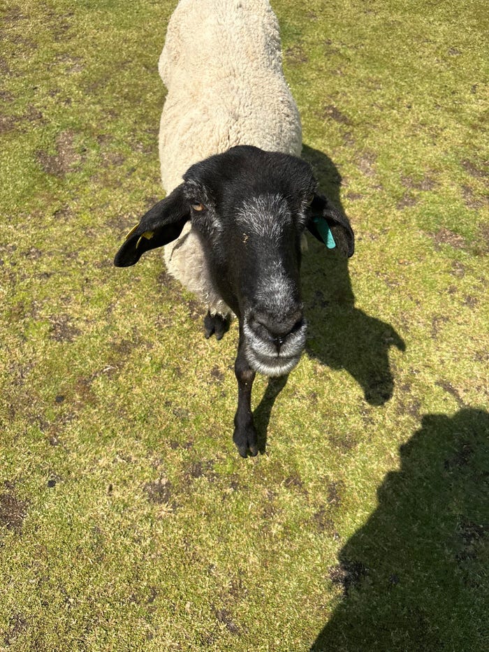 山下伶亜奈「JKラストのGW」(提供写真)