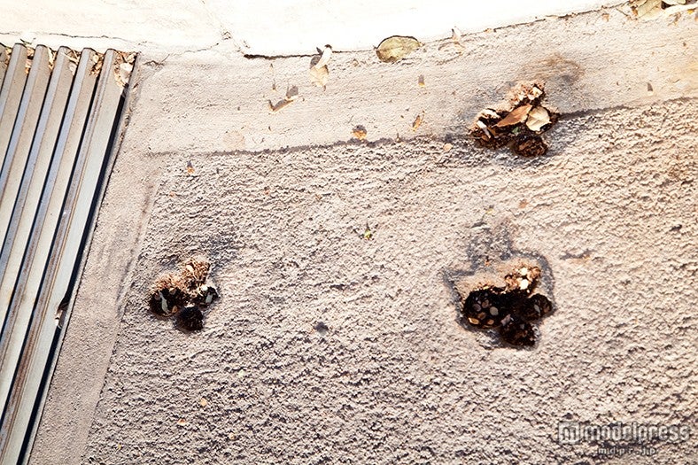 スタジオの敷地内には細かい仕掛けも…（キャラクターの足あと）／撮影：Kaori Suzuki