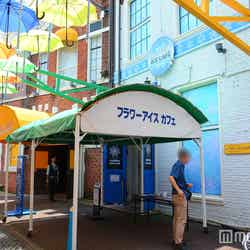 フラワーアイスカフェ(C)モデルプレス