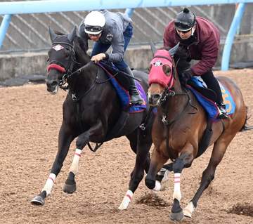 【中山GJ】エコロデュエル万全 ラストまで軽快 岩戸師「きょうは動いたね」