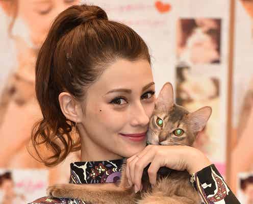 ダレノガレ明美、保護猫の里親探し支援へ 虐待犯に強い怒り