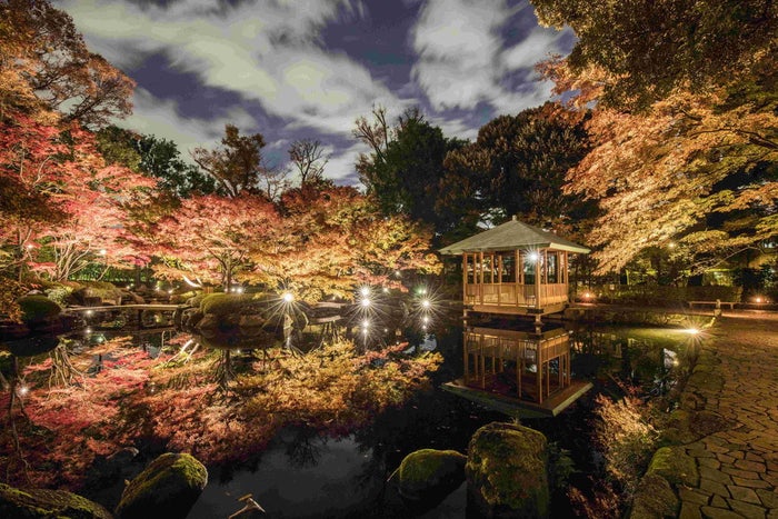 紅葉シーズンはライトアップして水面に映りこむ光景が幻想的（提供画像）