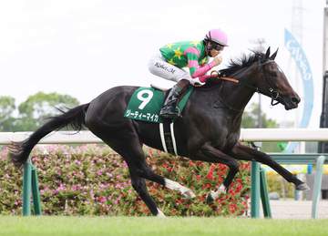 中京2歳Sを無傷で制したジーティーマイカは放牧へ 阪神JFを大目標に