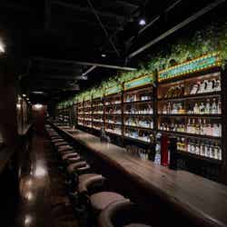 「エルレキオ」沖縄×南米がMIXした不思議なカクテルバー空間