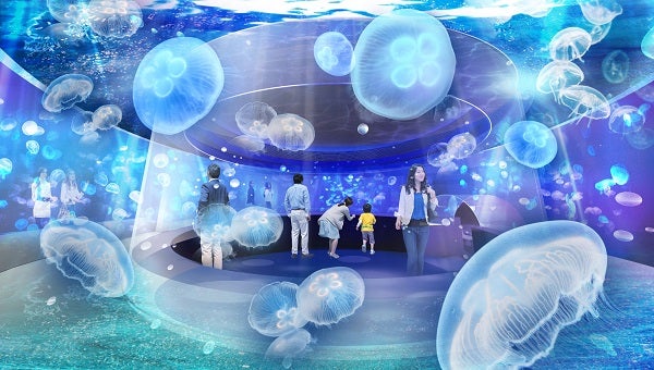 京都水族館の新展示エリア（イメージ）／画像提供：京都水族館