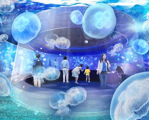 「京都水族館」初の大規模リニューアル、クラゲ新展示が誕生
