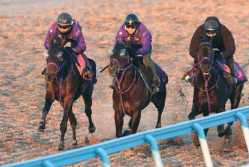 【フェアリーS】サンアントワーヌ 予定通りの動きに鹿戸師も満足 1Fの距離延長と初の右回り克服へ「スタートは鍵になるかな」