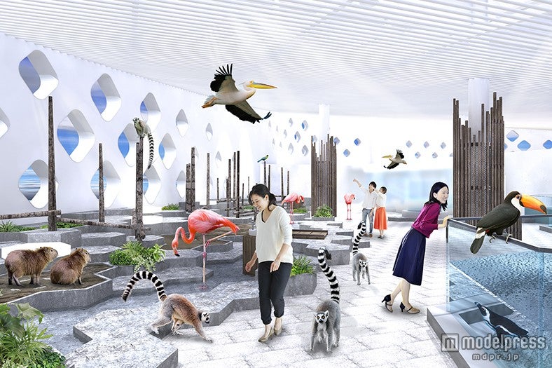 「うごきにふれる」イメージ／画像提供：海遊館