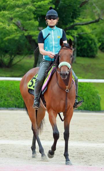 【新馬戦】フランソワーズ エフフォーリア産駒牝馬V「第一号を」前川師が期待