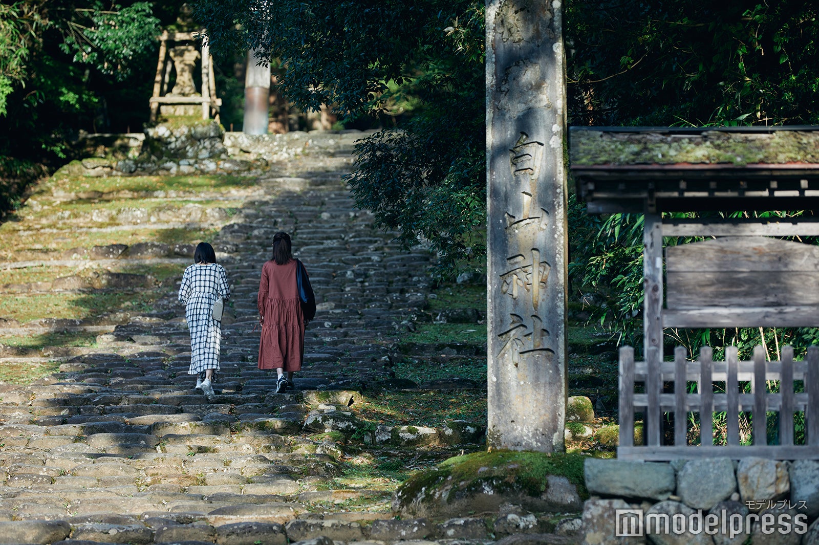 参道は長く、足場も苔で滑りやすいので、歩きやすい格好で訪問すると◎。 （C）モデルプレス