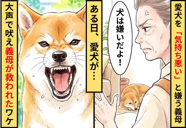 愛犬を「気持ち悪い」と嫌う義母！ある日⇒愛犬が【大声で吠えた】結果…義母が救われたワケ