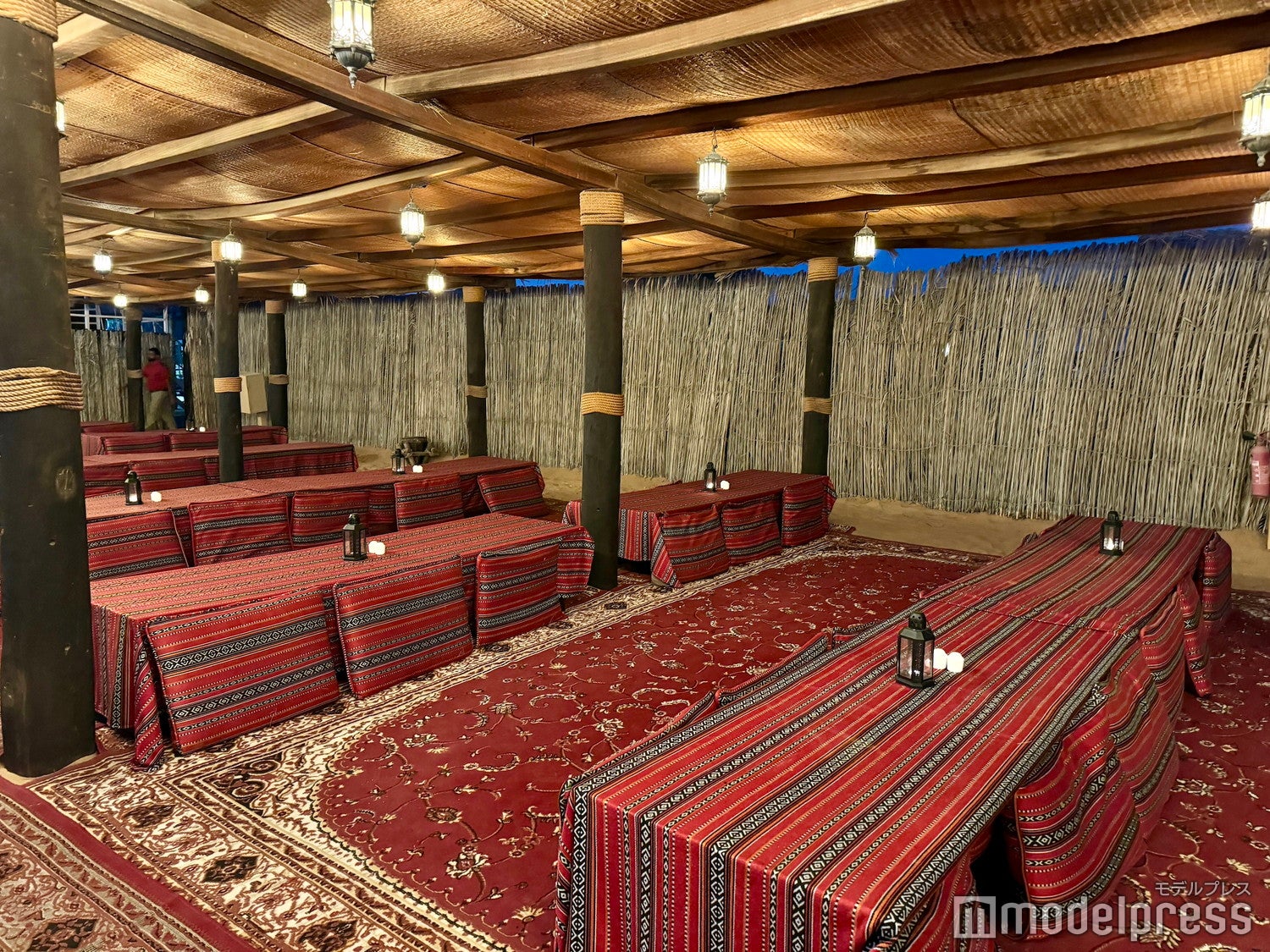 砂漠ツアー（C）モデルプレス