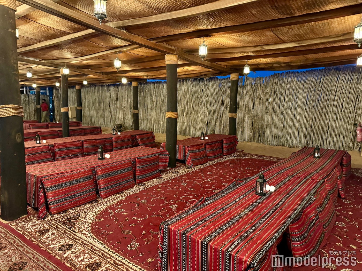 砂漠ツアー(C)モデルプレス