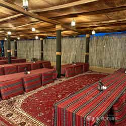 砂漠ツアー(C)モデルプレス