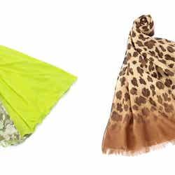 Twitterキャンペーンでプレゼントされるストール