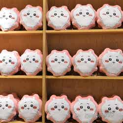 ちいかわパーク(C)モデルプレス