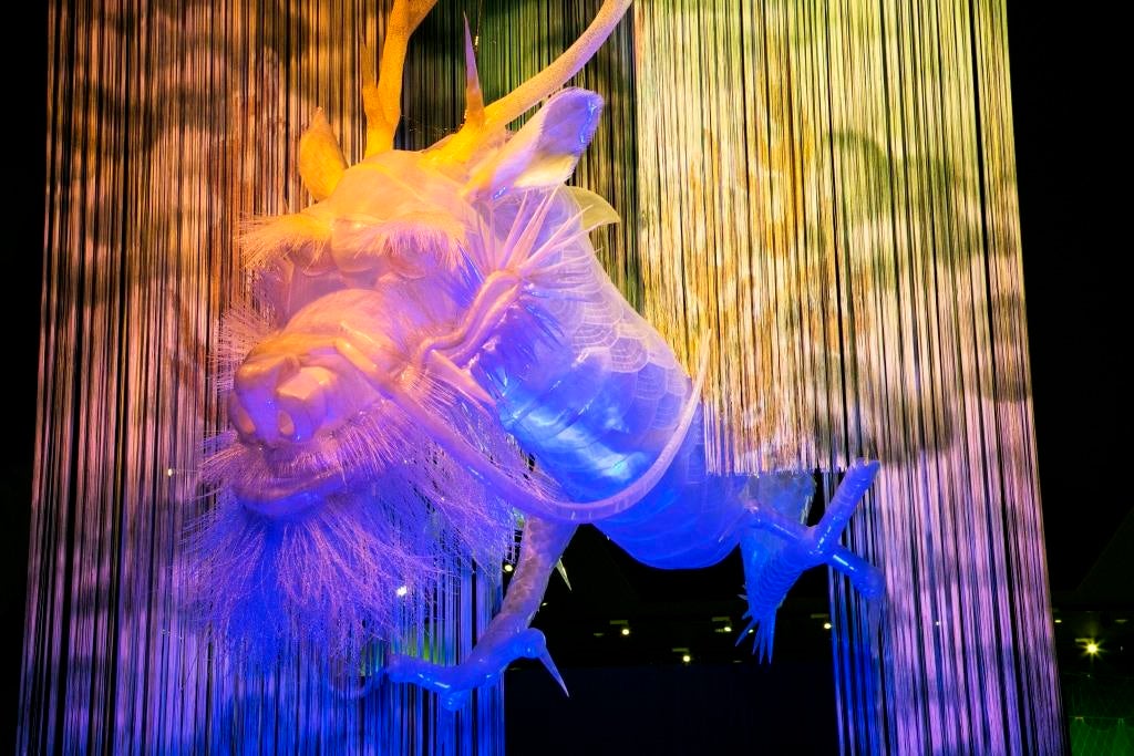 ナビゲーターである「龍」／画像提供：滋賀県立琵琶湖博物館