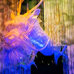 ナビゲーターである「龍」/画像提供:滋賀県立琵琶湖博物館