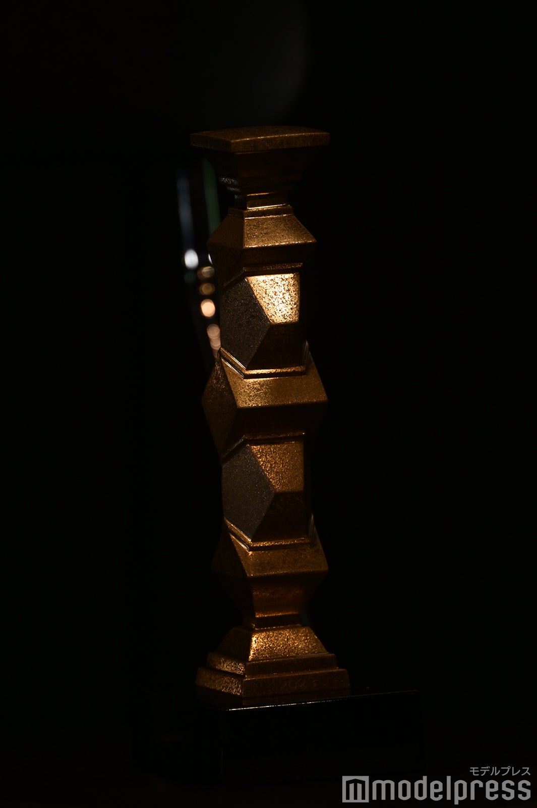 妻夫木聡が持参したトロフィー （C）モデルプレス