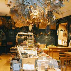 月2回、月曜19:00から「大人塾」と銘打ち、カフェにで様々なゲストを呼んでフレンチ料理やヨガなどのイベントを開催(C)モデルプレス