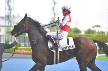 大物誕生の予感！新種牡馬フライトライン産駒ショウナンガレオンが衝撃のレコードV